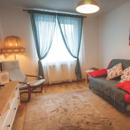 Comfy Apartment Сігішоара Екстер'єр фото