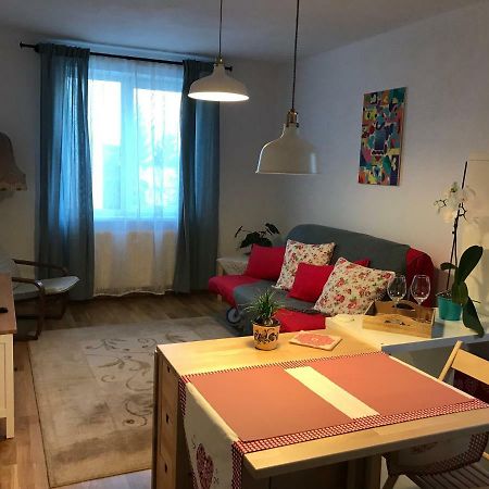 Comfy Apartment Сігішоара Екстер'єр фото