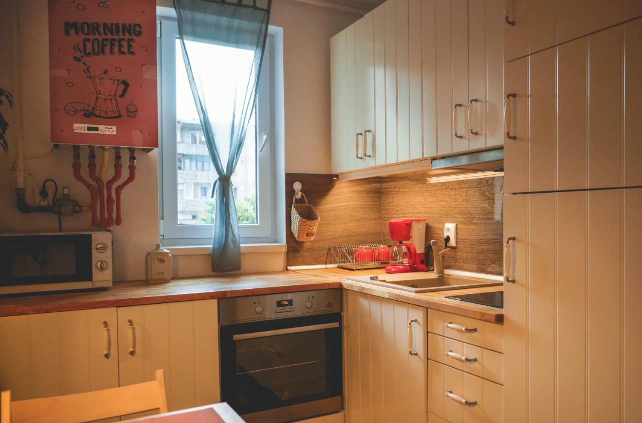 Comfy Apartment Сігішоара Екстер'єр фото
