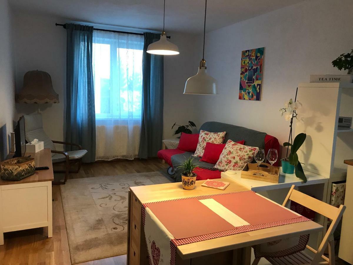 Comfy Apartment Сігішоара Екстер'єр фото