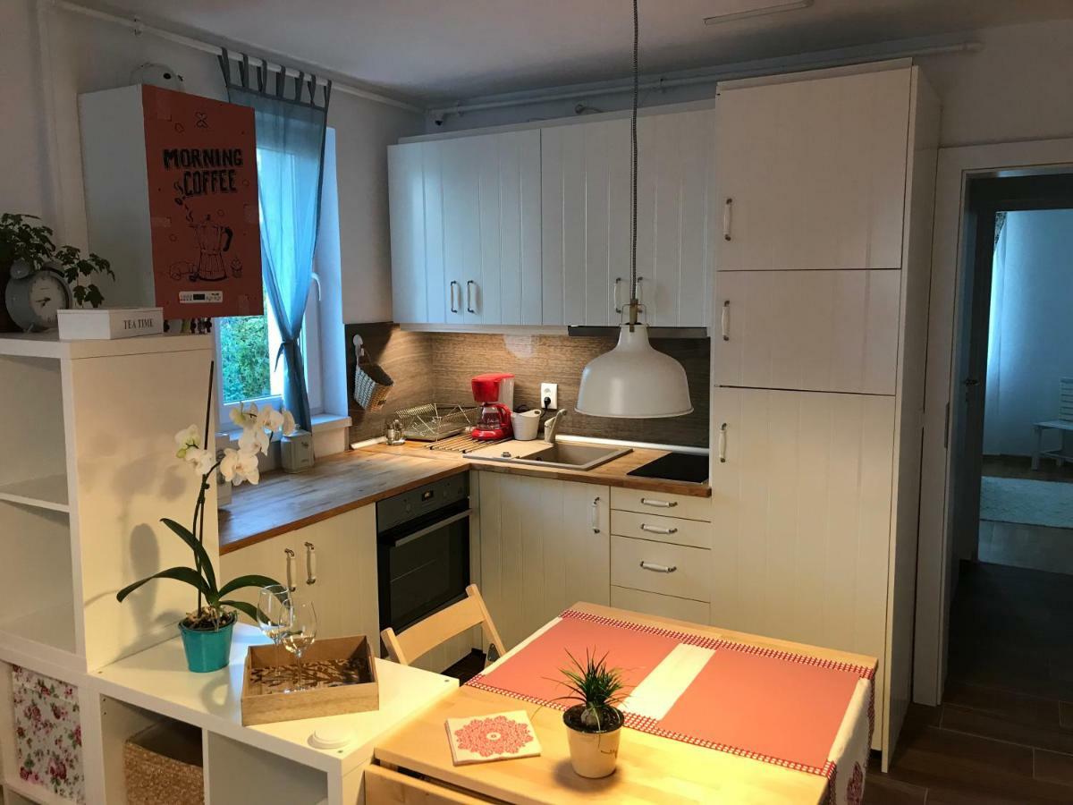 Comfy Apartment Сігішоара Екстер'єр фото