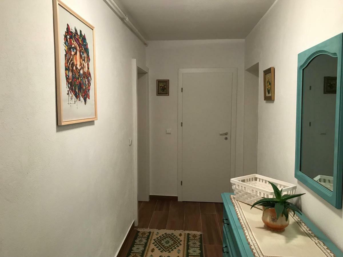 Comfy Apartment Сігішоара Екстер'єр фото